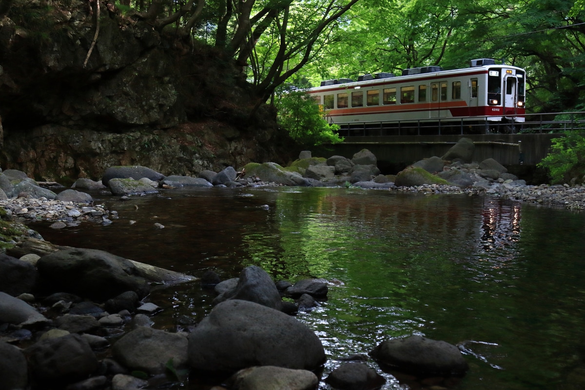 野岩鉄道 南栗橋車両管区新栃木出張所 6050系 61102F
