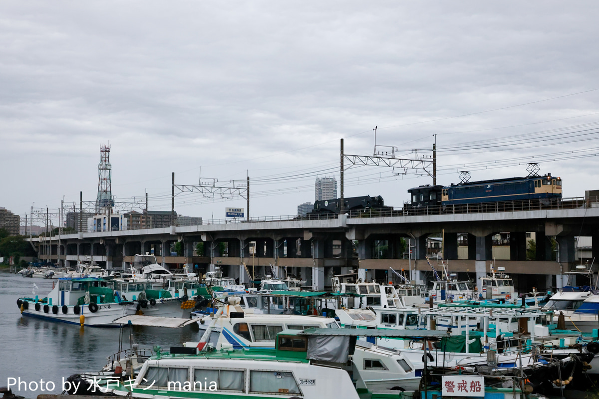 JR貨物 新鶴見機関区 EF65 2088