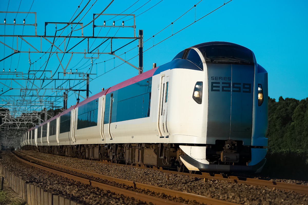 JR東日本  E259系 