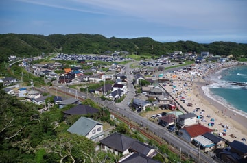 by山百合快特