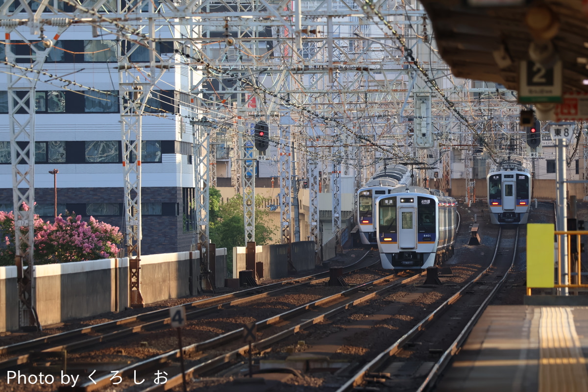 南海電気鉄道 住ノ江検車区 8300系 8301F