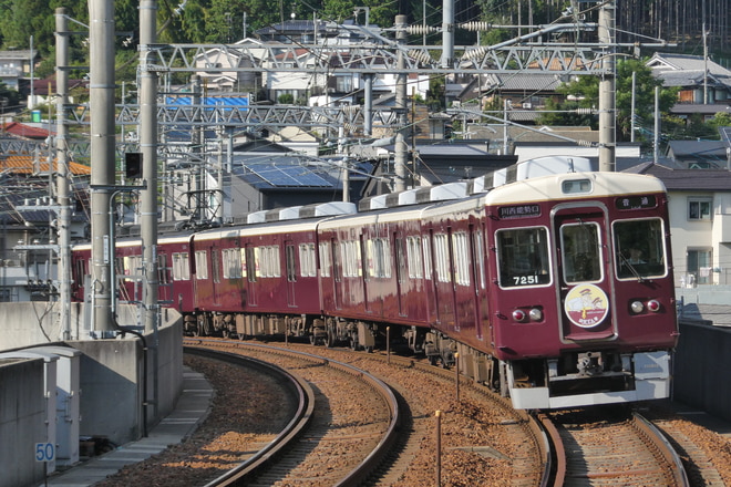 by6000系50th