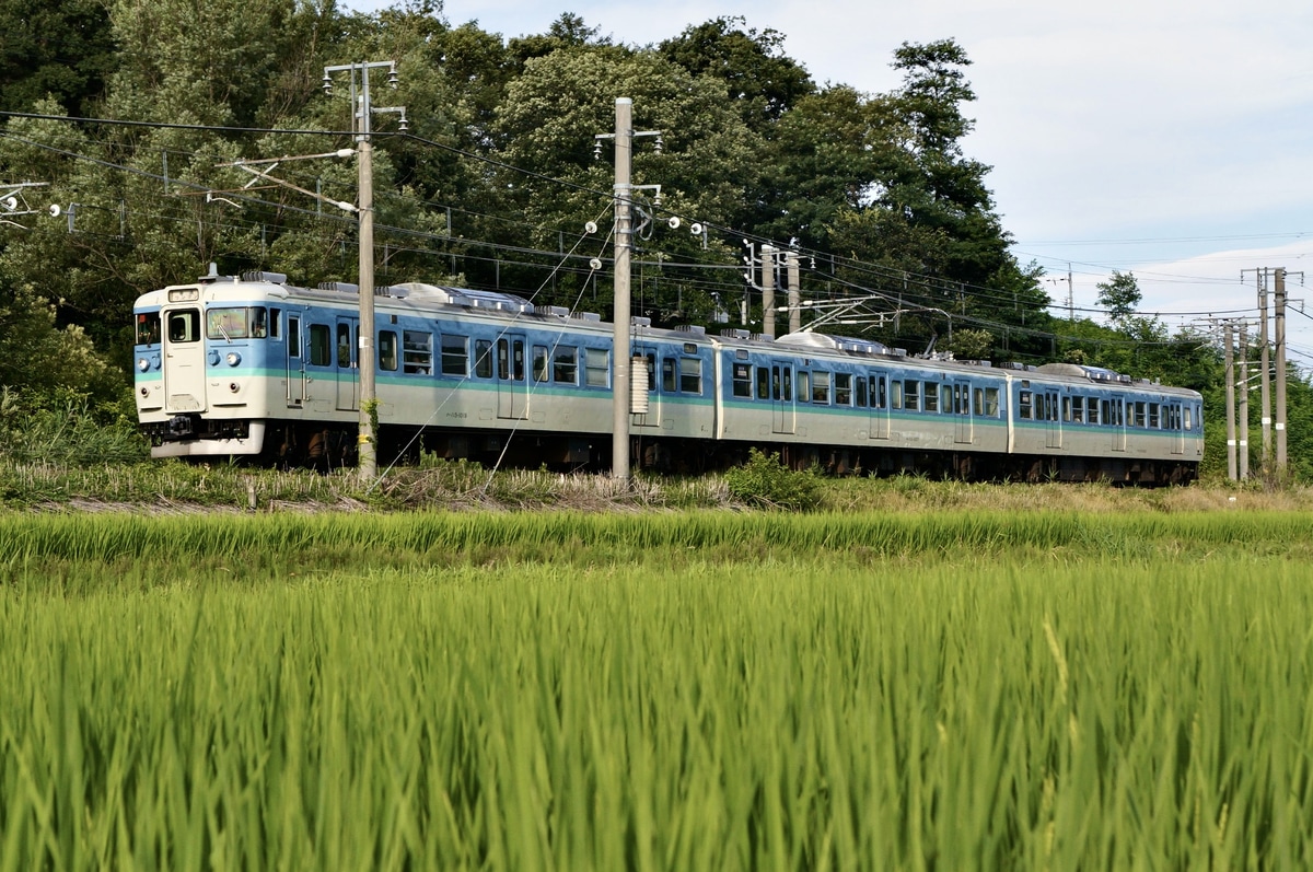 しなの鉄道  115系 S11