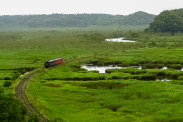 JR北海道 キハ40 茶内～厚岸間付近