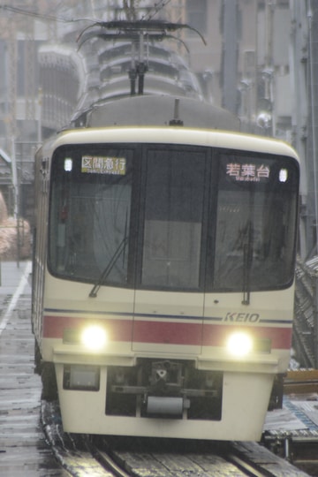 by箕 島