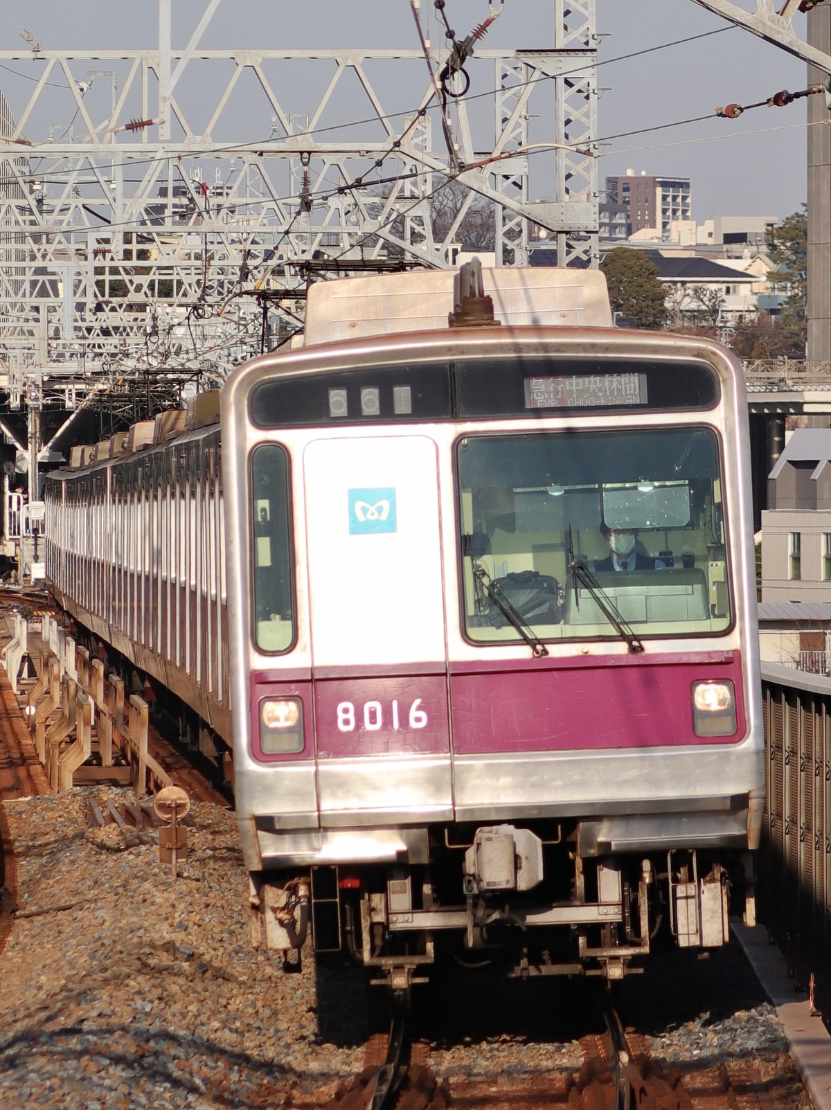 東京メトロ  8000系 8116F