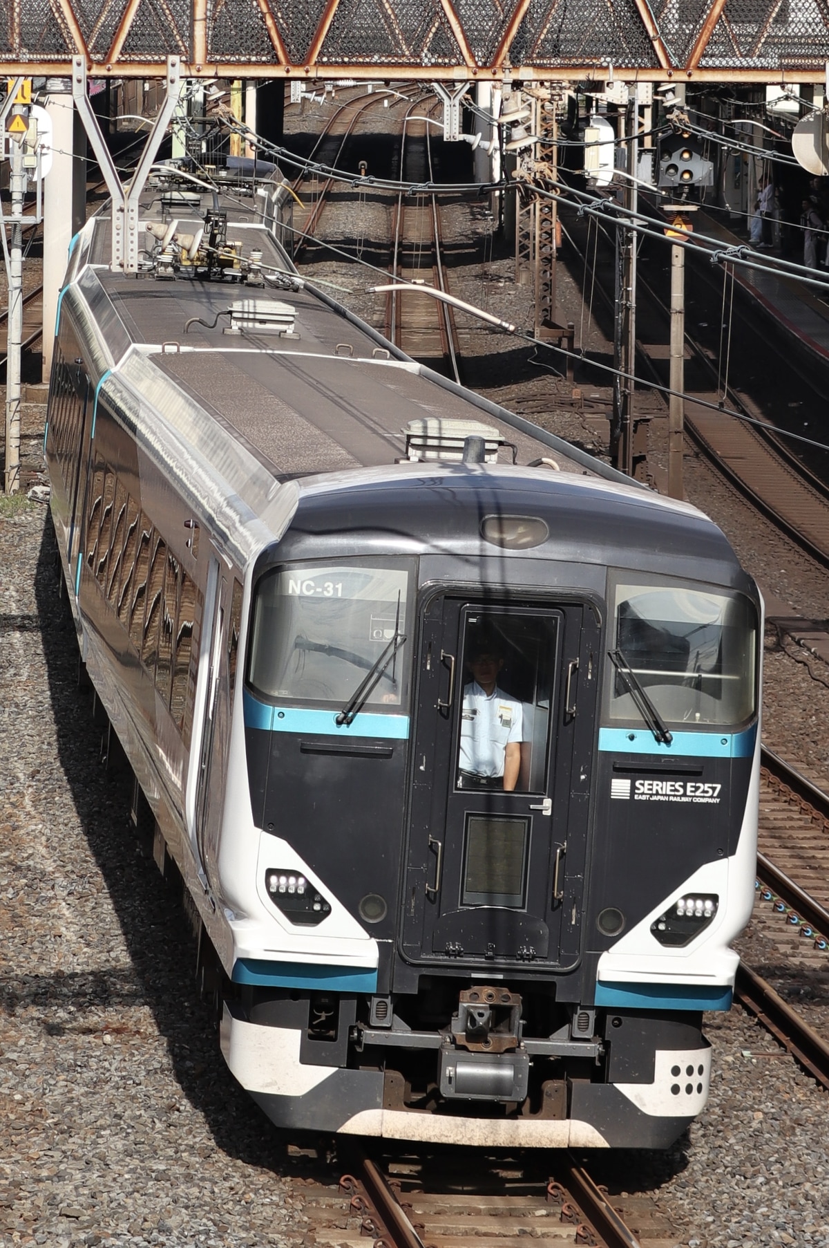 JR東日本  E257系 NC-31編成