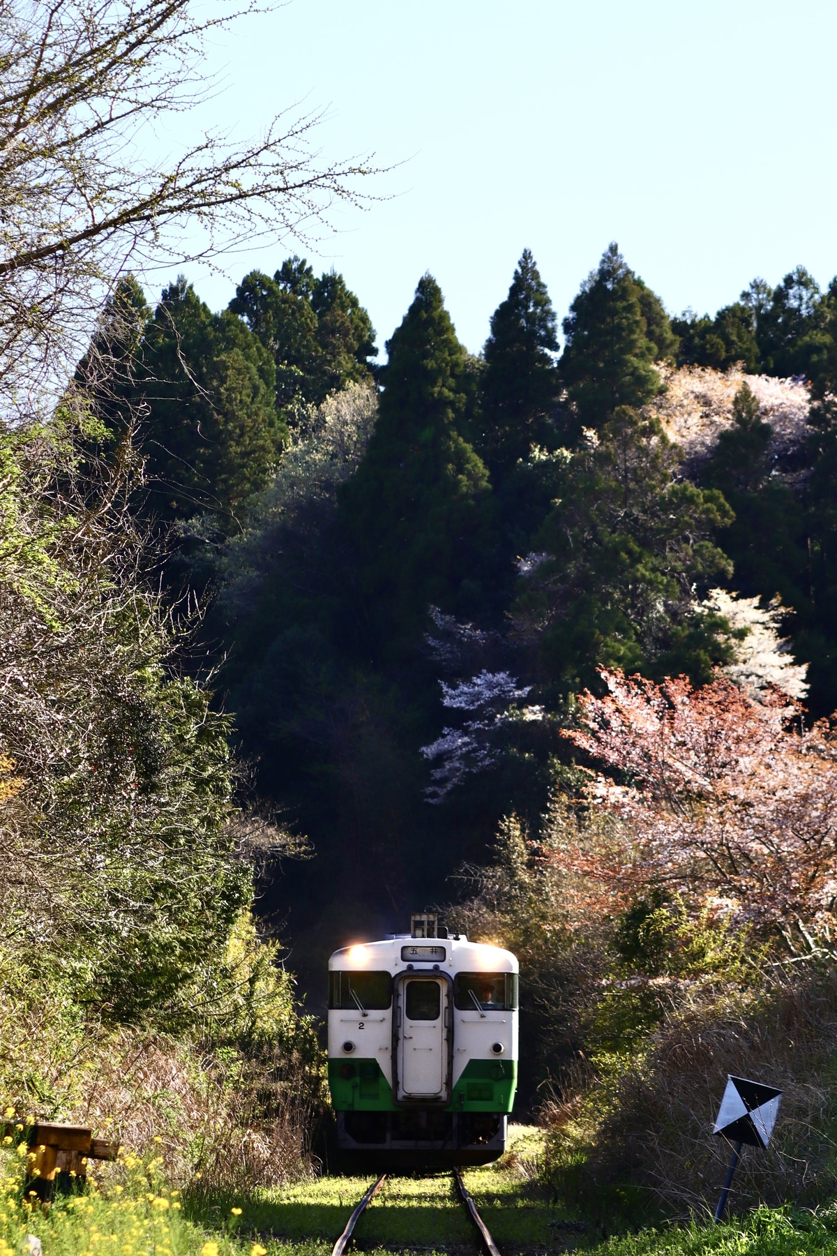 小湊鐵道  キハ40形 