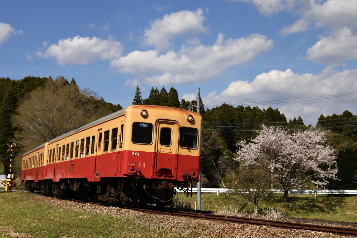 小湊鐵道  キハ200形 201