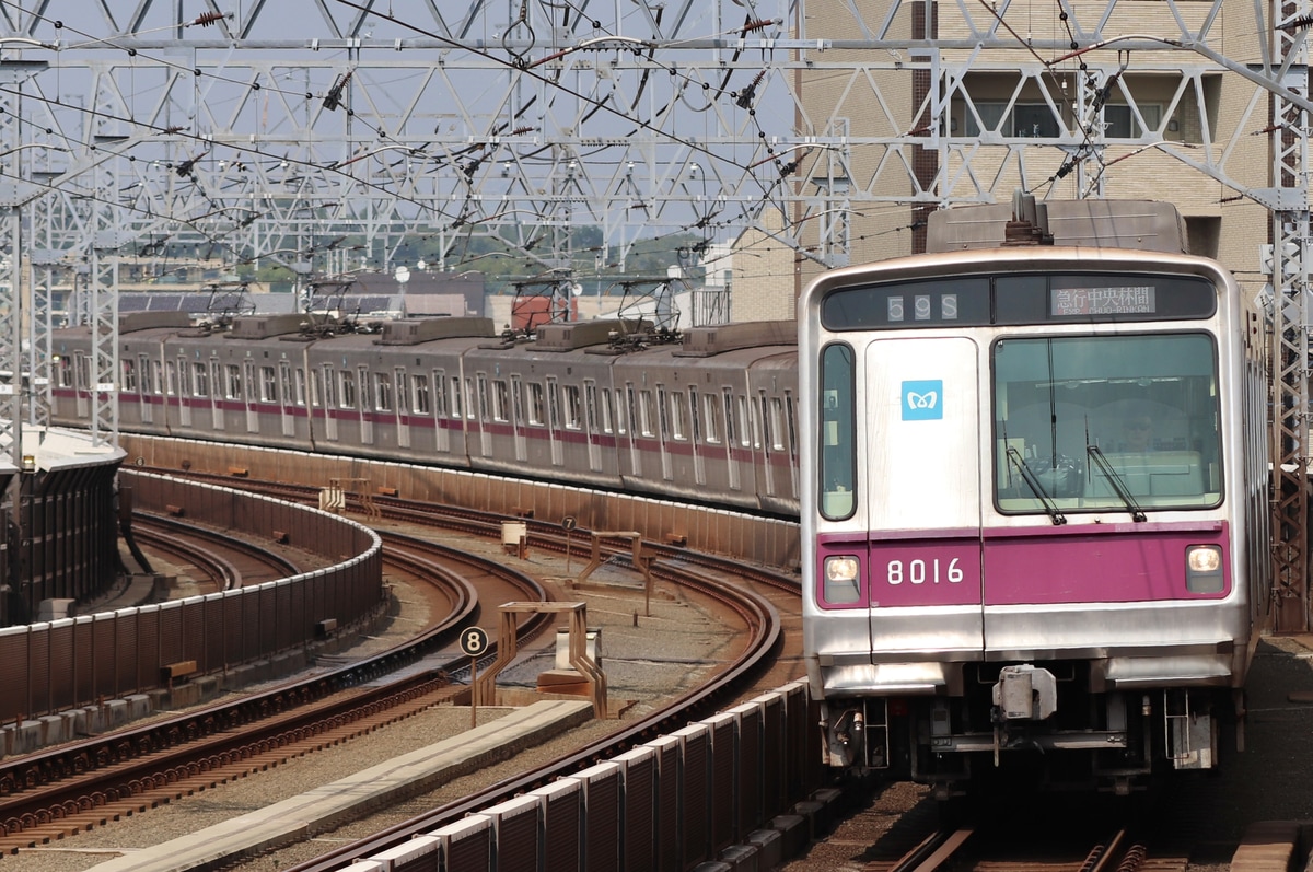東京メトロ  8000系 8116F