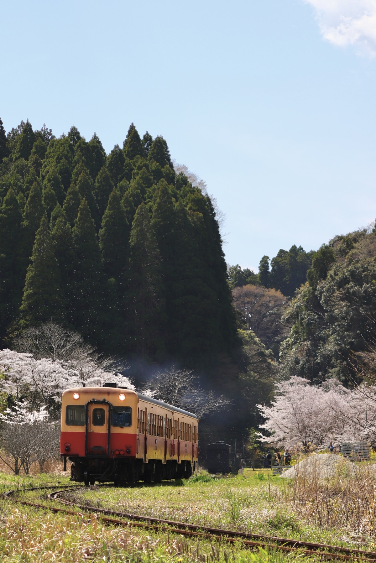 小湊鐵道  キハ200形 