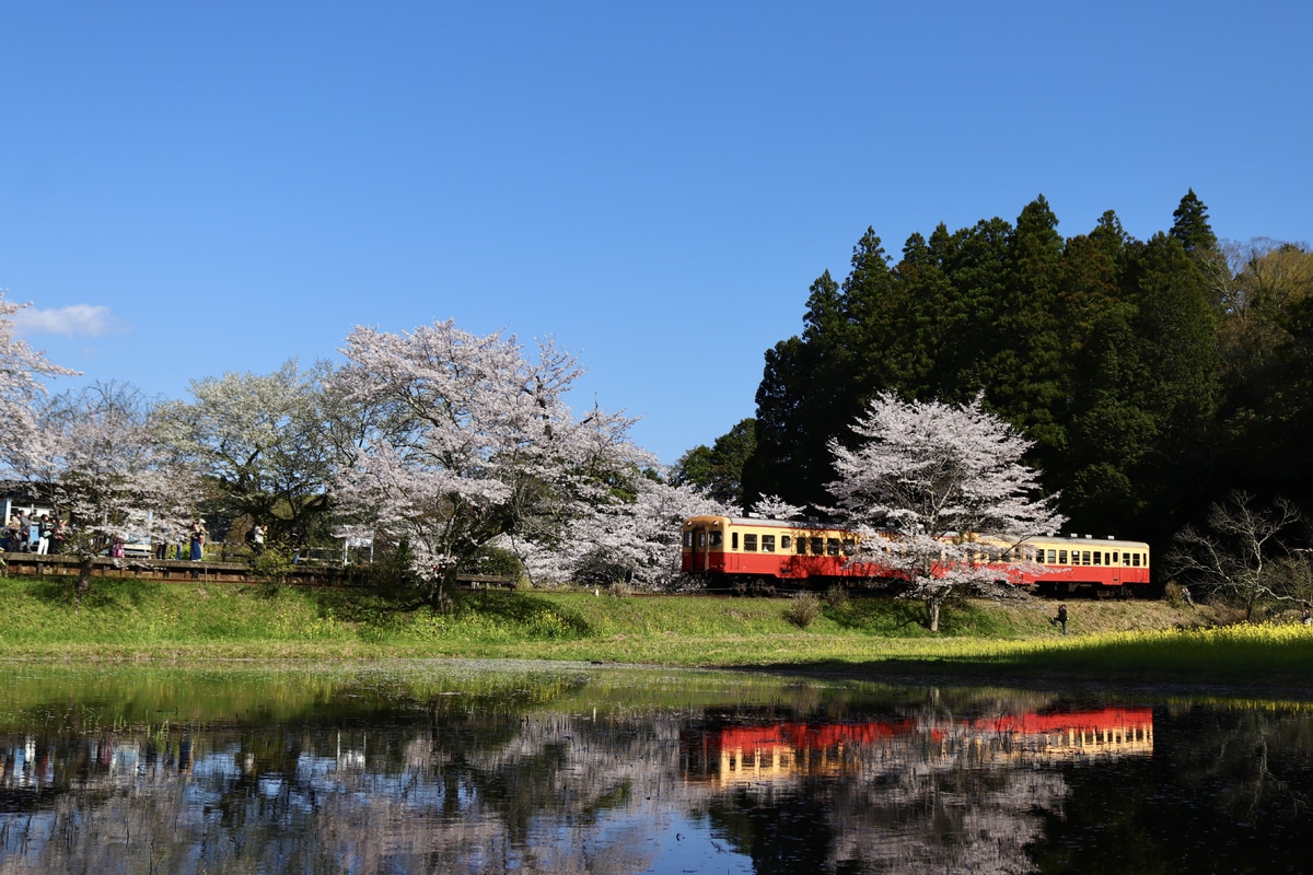 小湊鐵道  キハ200形 205