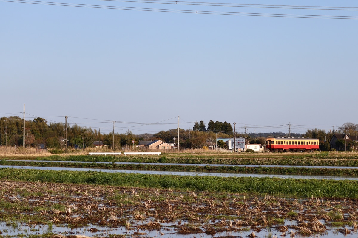 小湊鐵道  キハ200形 204