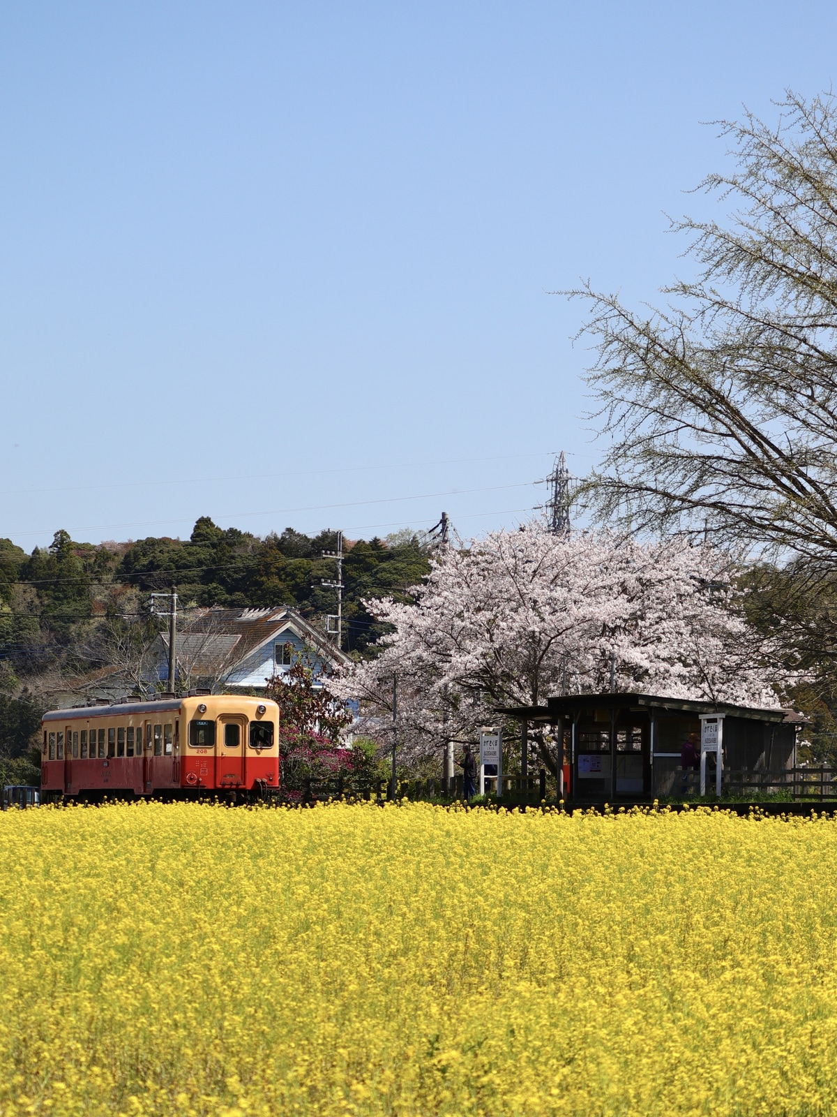 小湊鐵道  キハ200形 208