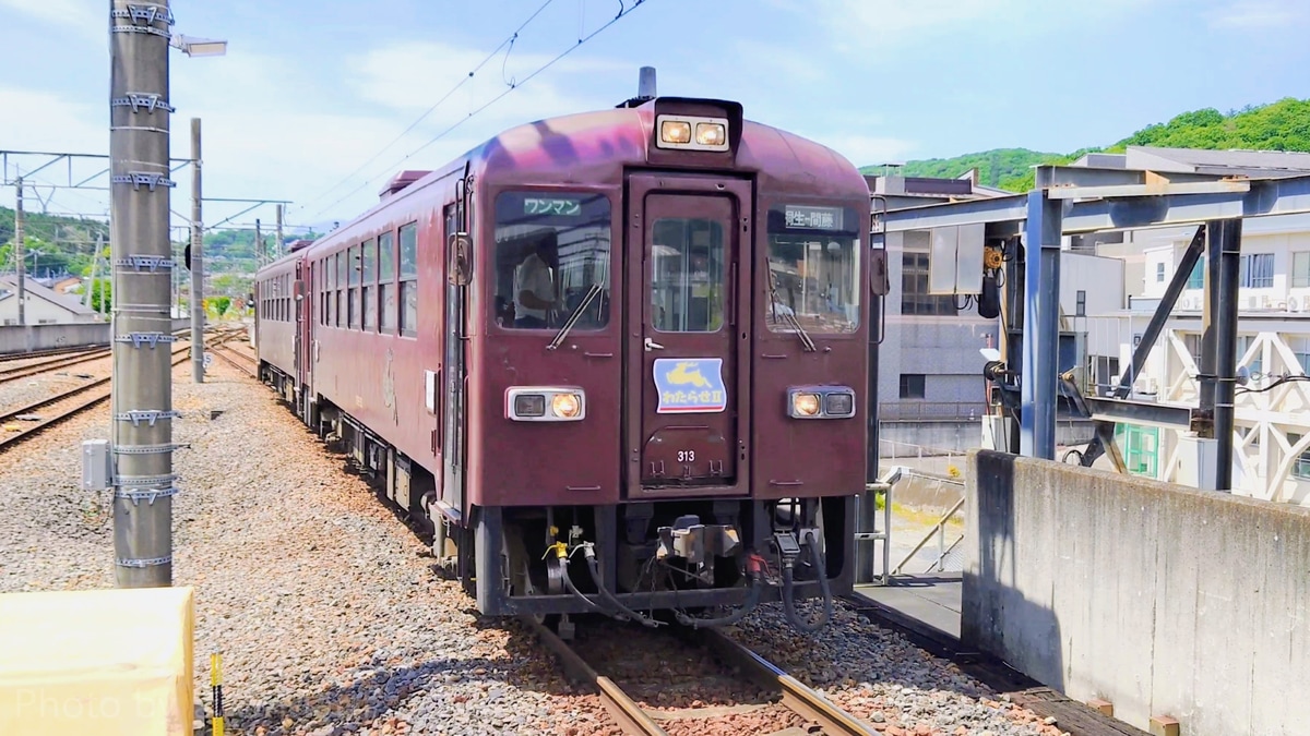 わたらせ渓谷鐵道  わ89-310形 わ89-313