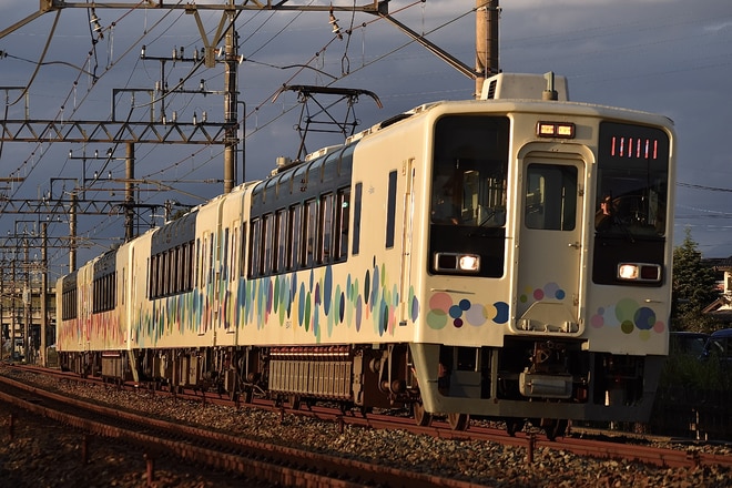 by飛