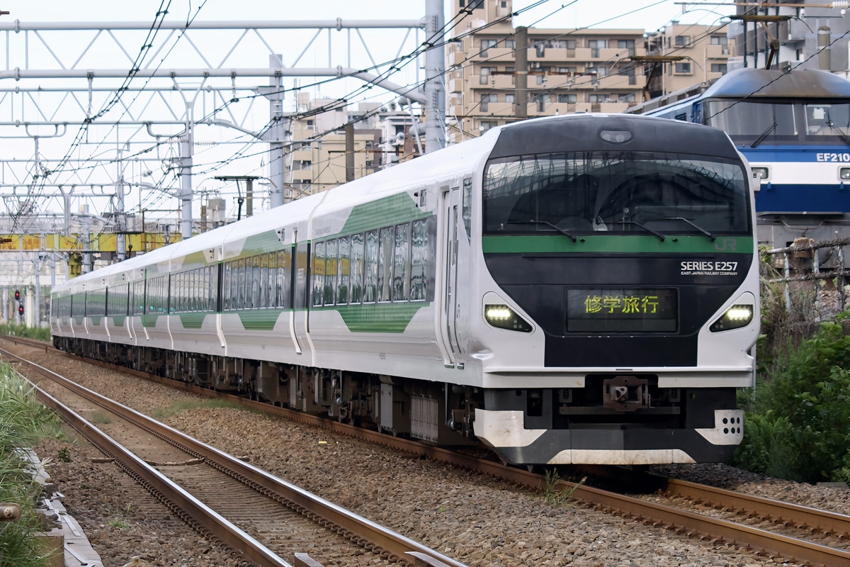 JR東日本 大宮総合車両センター東大宮センター E257系 オオOM-92編成