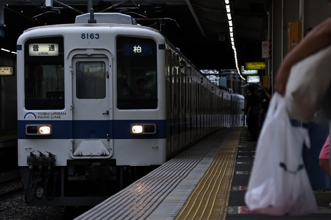 byかめいど