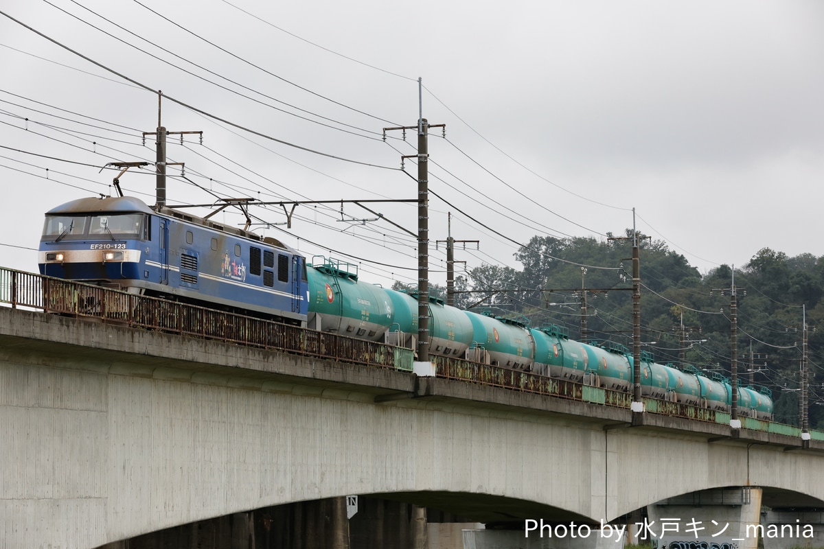JR貨物 新鶴見機関区 EF210 123