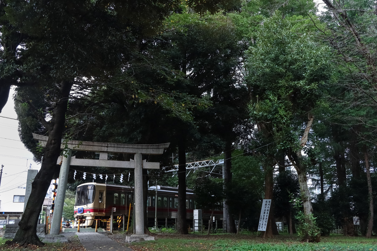 京王電鉄 若葉台検車区 8000系 8729f