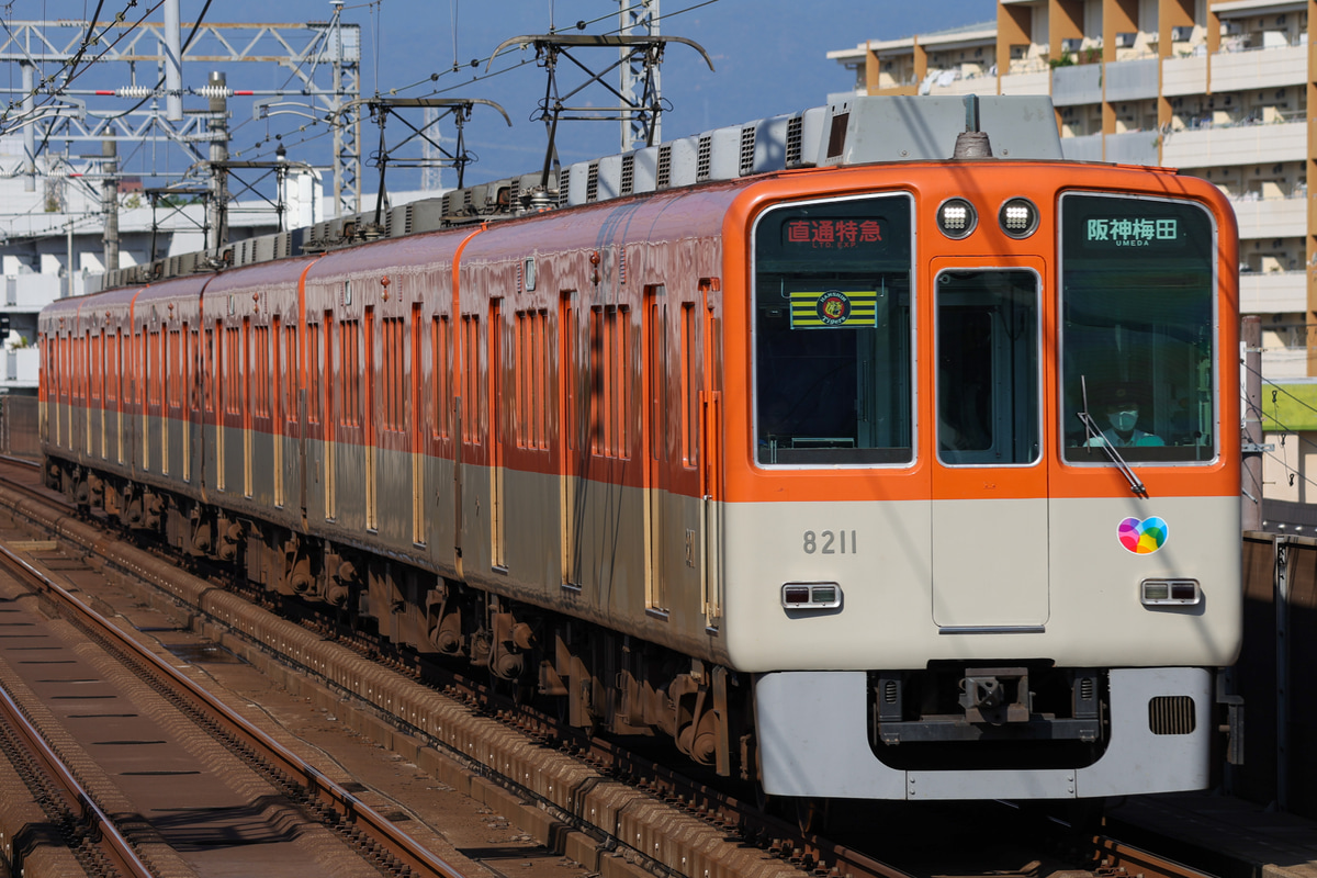 阪神電気鉄道 尼崎車庫 8000系 8211F