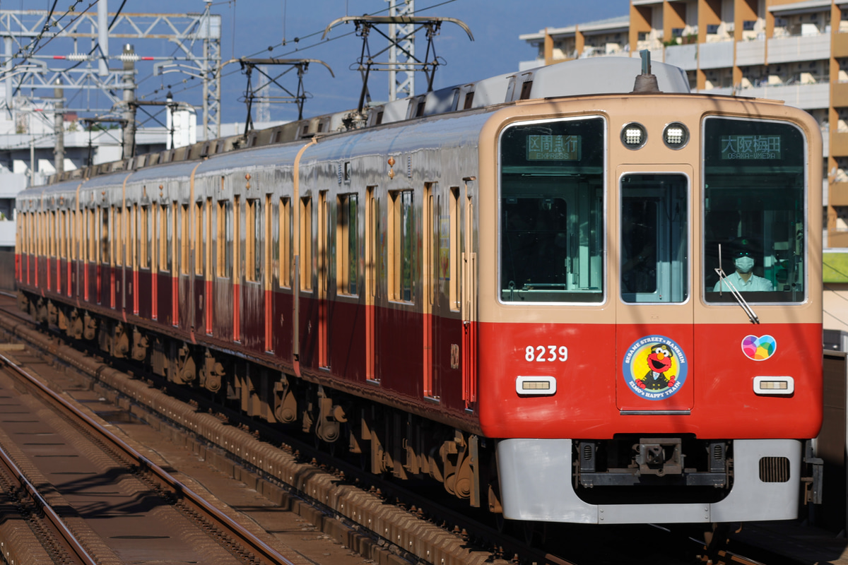 阪神電気鉄道 尼崎車庫 8000系 8239F
