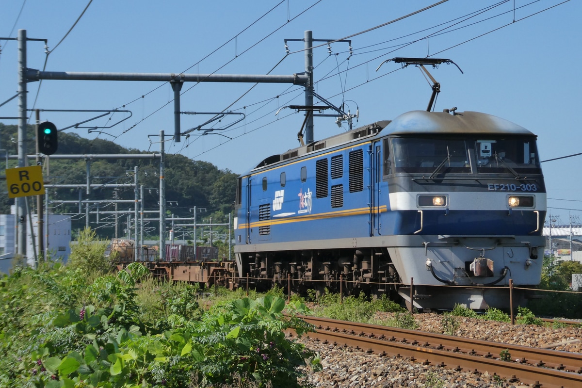 JR貨物 吹田機関区 EF210 303