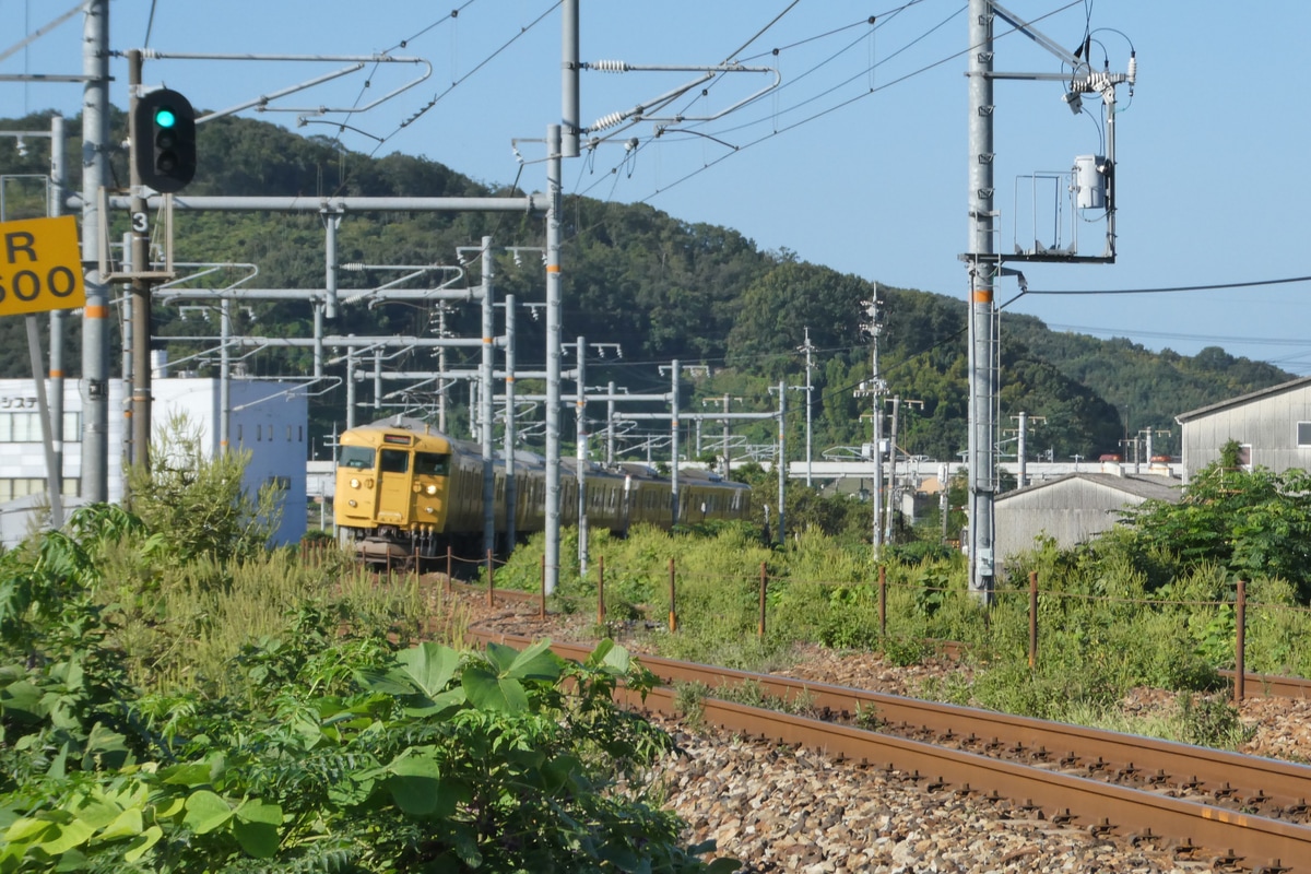 JR西日本 岡山電車区 115系 D-15編成