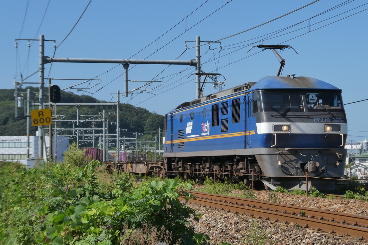 JR貨物 吹田機関区 EF210 305