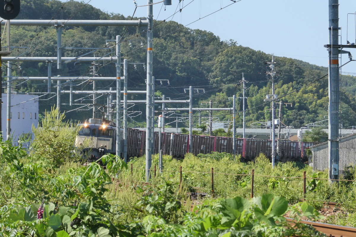 JR貨物 愛知機関区 EF64 1025