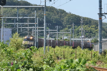 by6000系50th