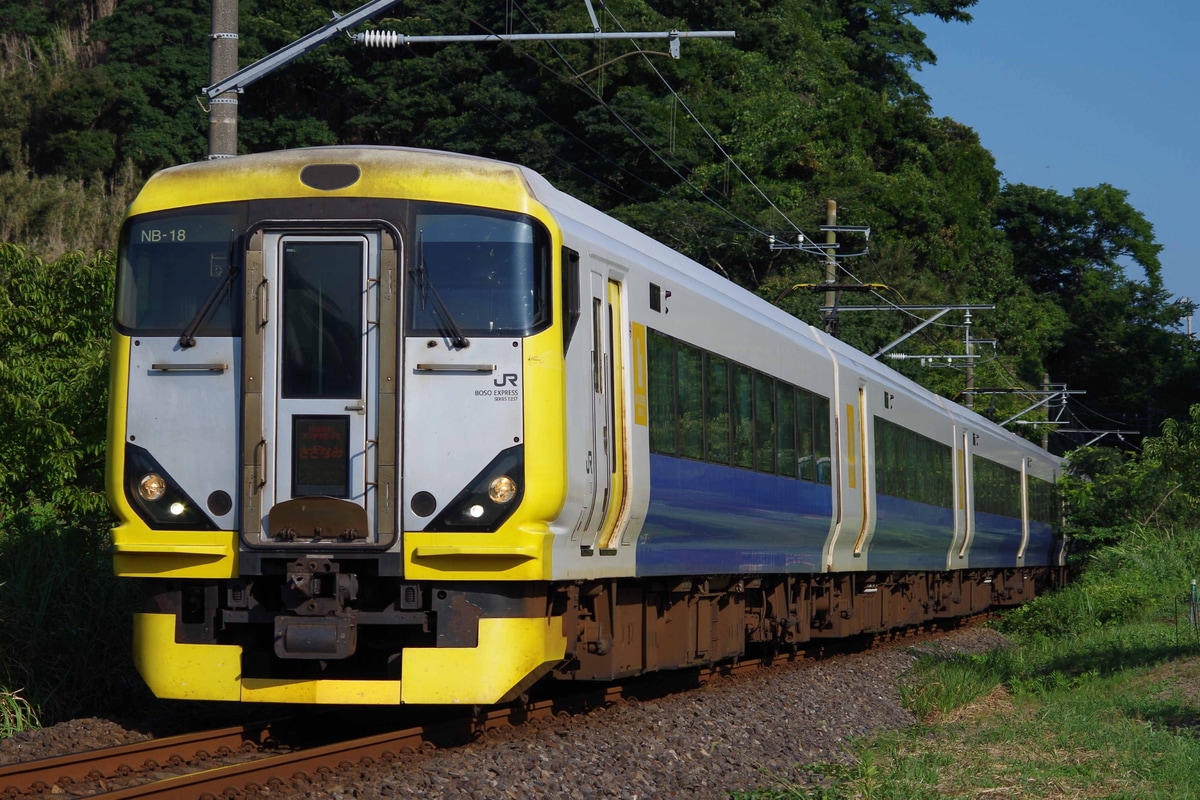 JR東日本 幕張車両ベース E257系 マリNB-18編成