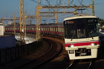 by山百合快特