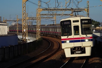 by山百合快特