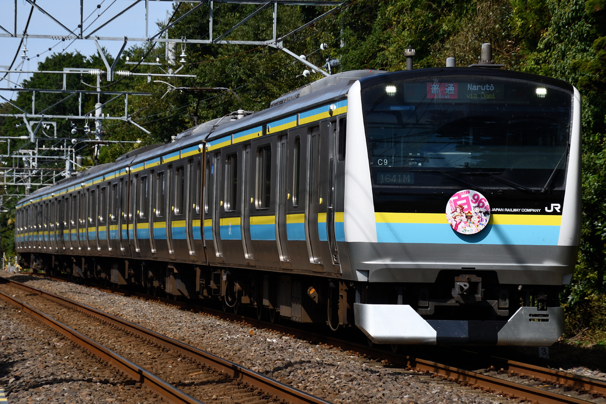 JR東日本 幕張車両ベース E233系 マリC9編成