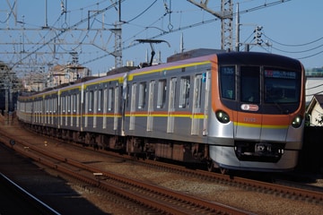 by山百合快特