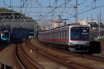by山百合快特