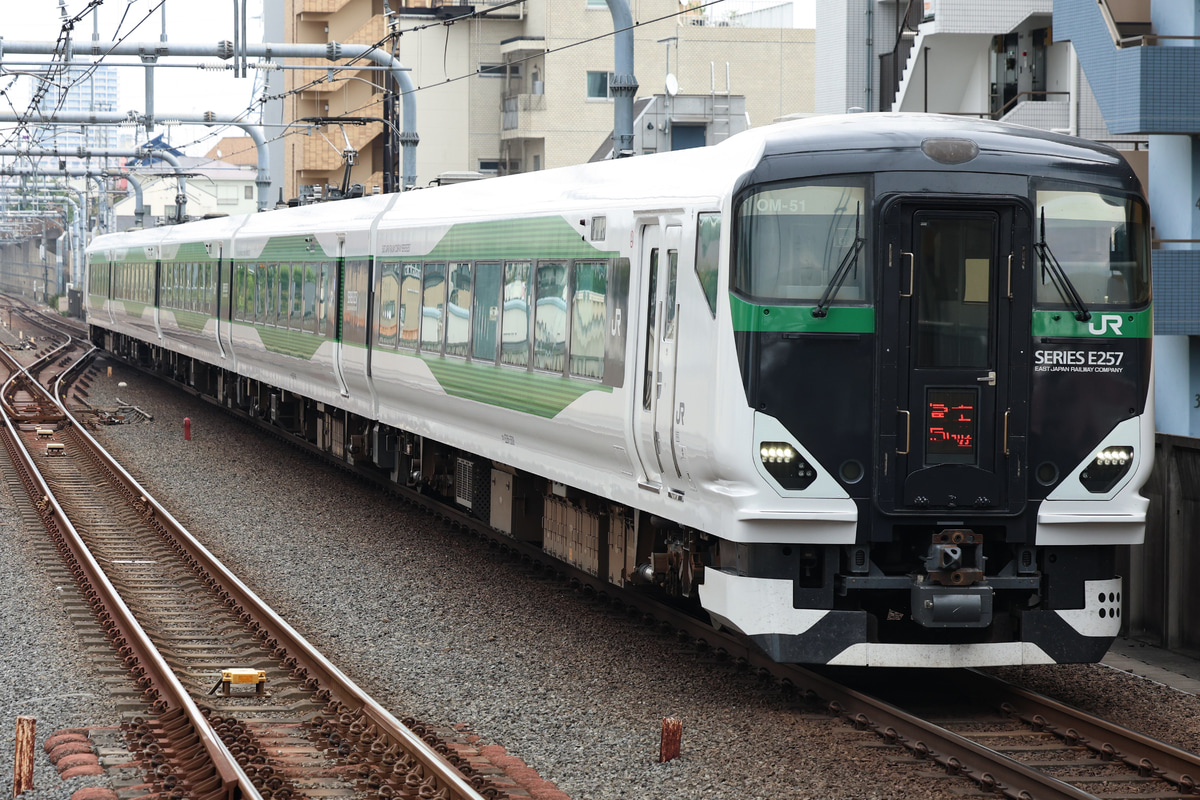 JR東日本 大宮総合車両センター東大宮センター E257系 オオOM-51編成