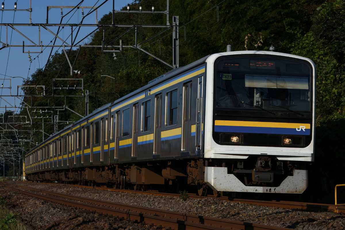 JR東日本 幕張車両センター 209系 C623編成