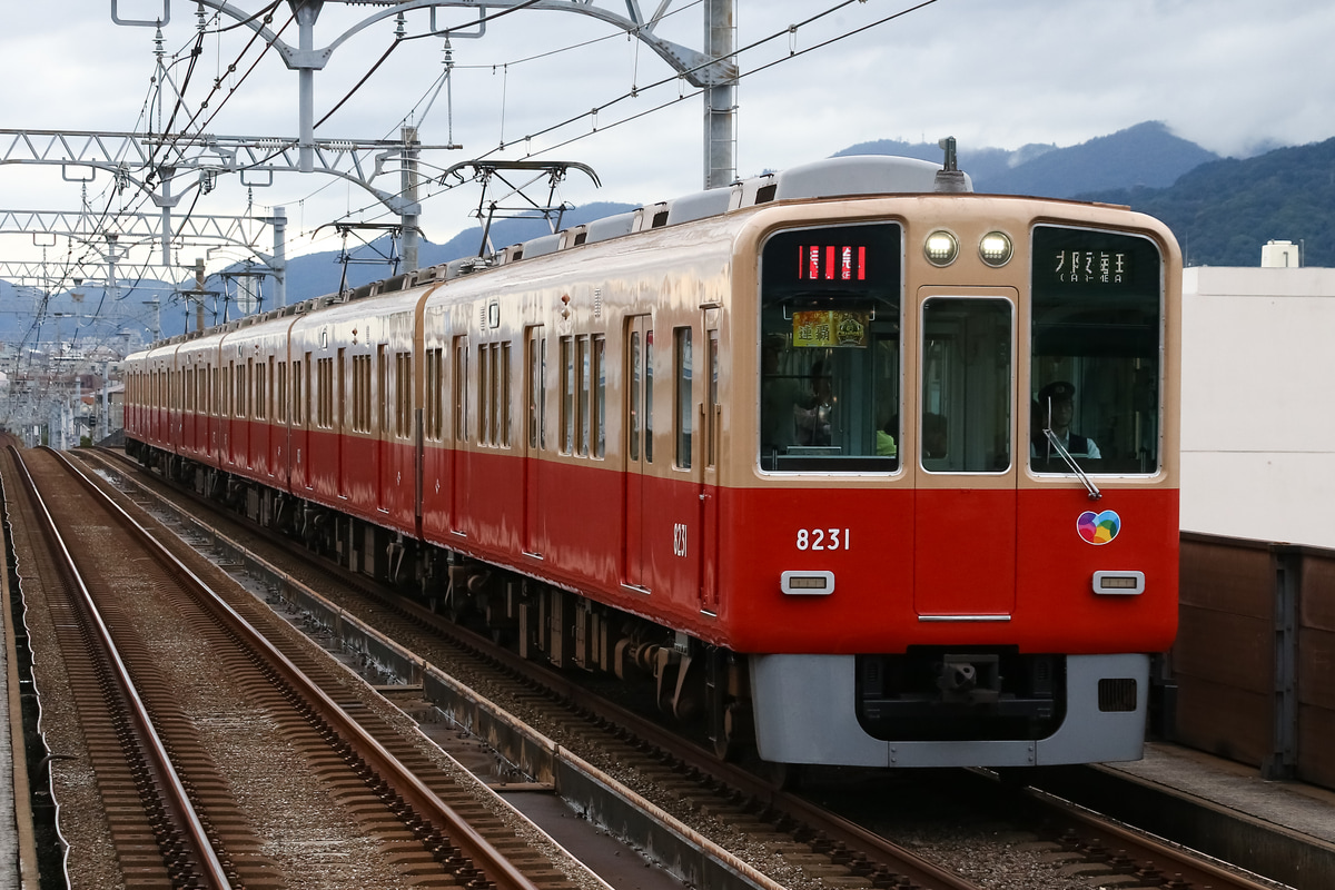 阪神電気鉄道 尼崎車庫 8000系 8231f