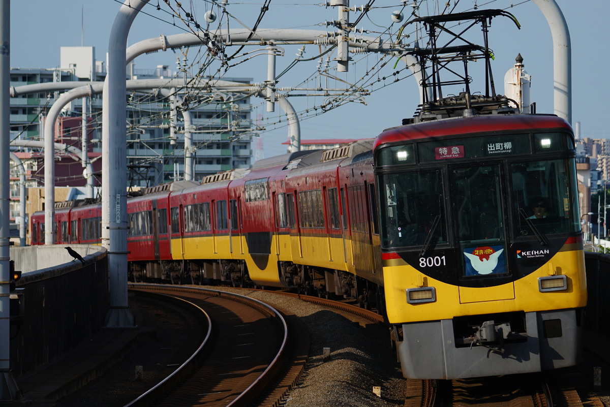 京阪電気鉄道 寝屋川車庫 8000系 8001-⑧-8051