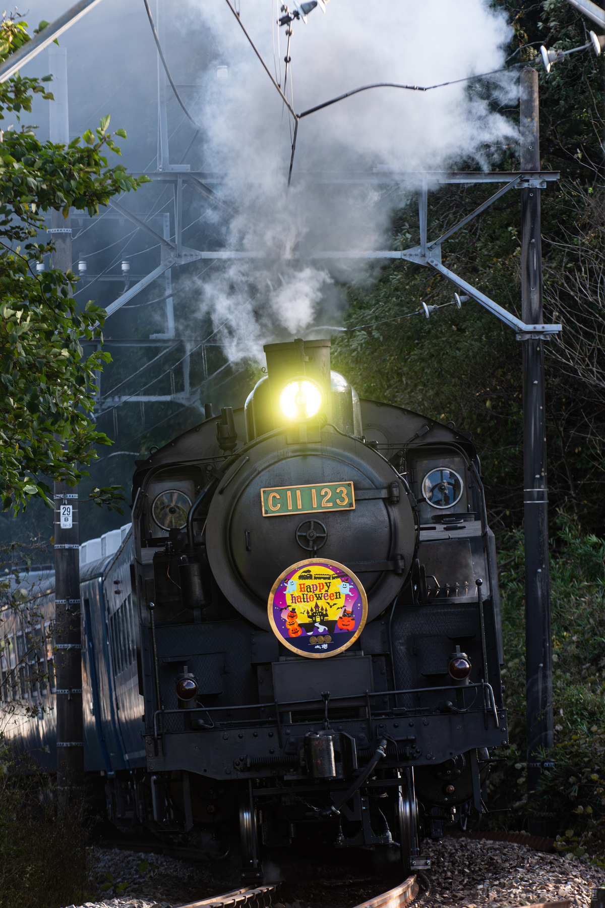 東武鉄道 下今市機関区 C11 123