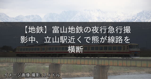 富山地鉄の夜行急行撮影中、立山駅近くで熊が線路を横断